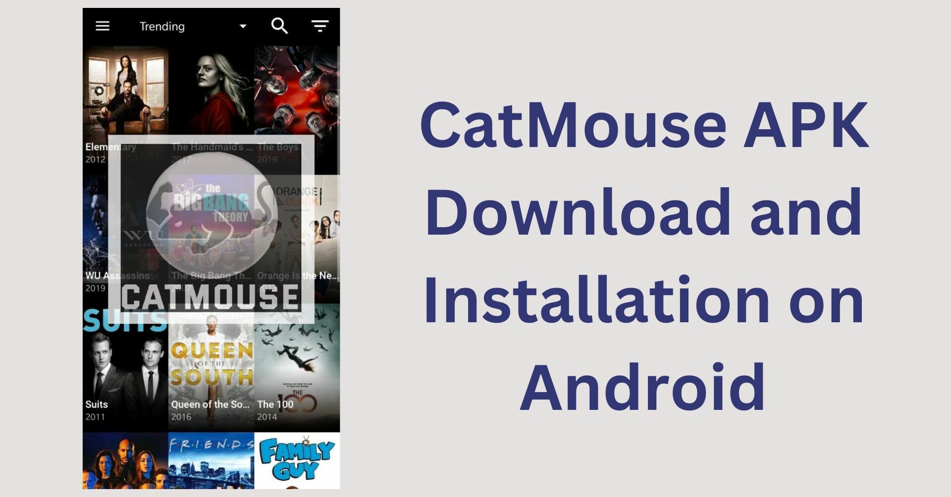 CatMouse APK Download and Installation on Android