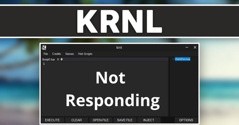 krnl stopped working, it gave me this error help(I updated and