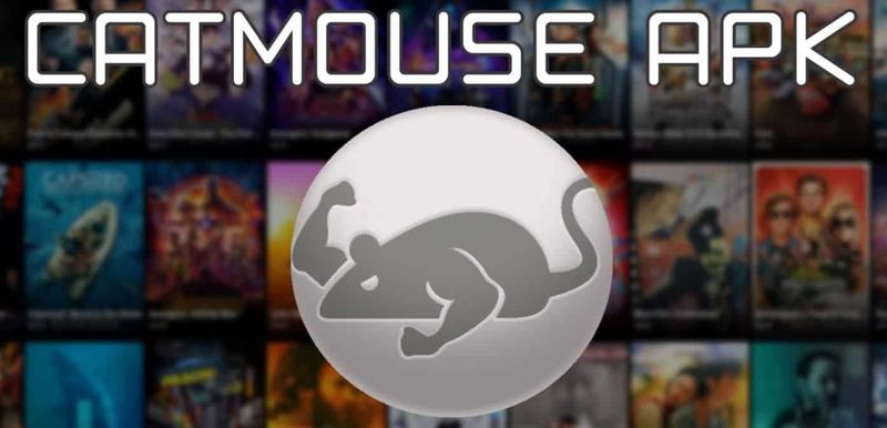 CatMouse APK Download